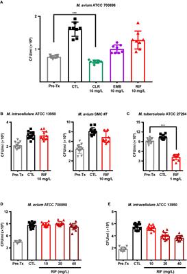 A Clofazimine-Containing Regimen Confers Improved Treatment Outcomes in Macrophages and in a Murine Model of Chronic Progressive Pulmonary Infection Caused by the Mycobacterium avium Complex